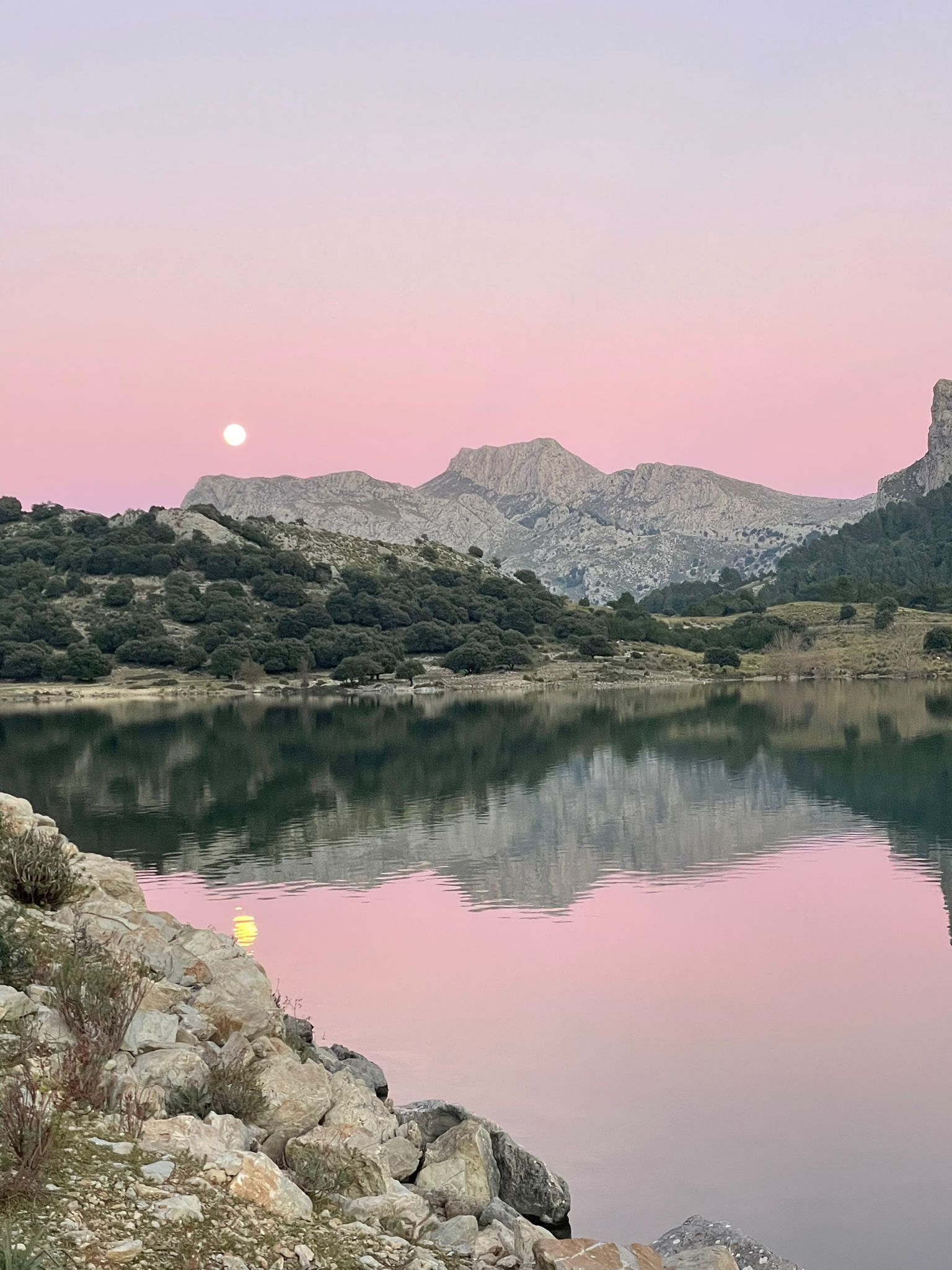 Transformational Mentorship mallorca
